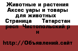 Животные и растения Аксесcуары и товары для животных - Страница 2 . Татарстан респ.,Чистопольский р-н